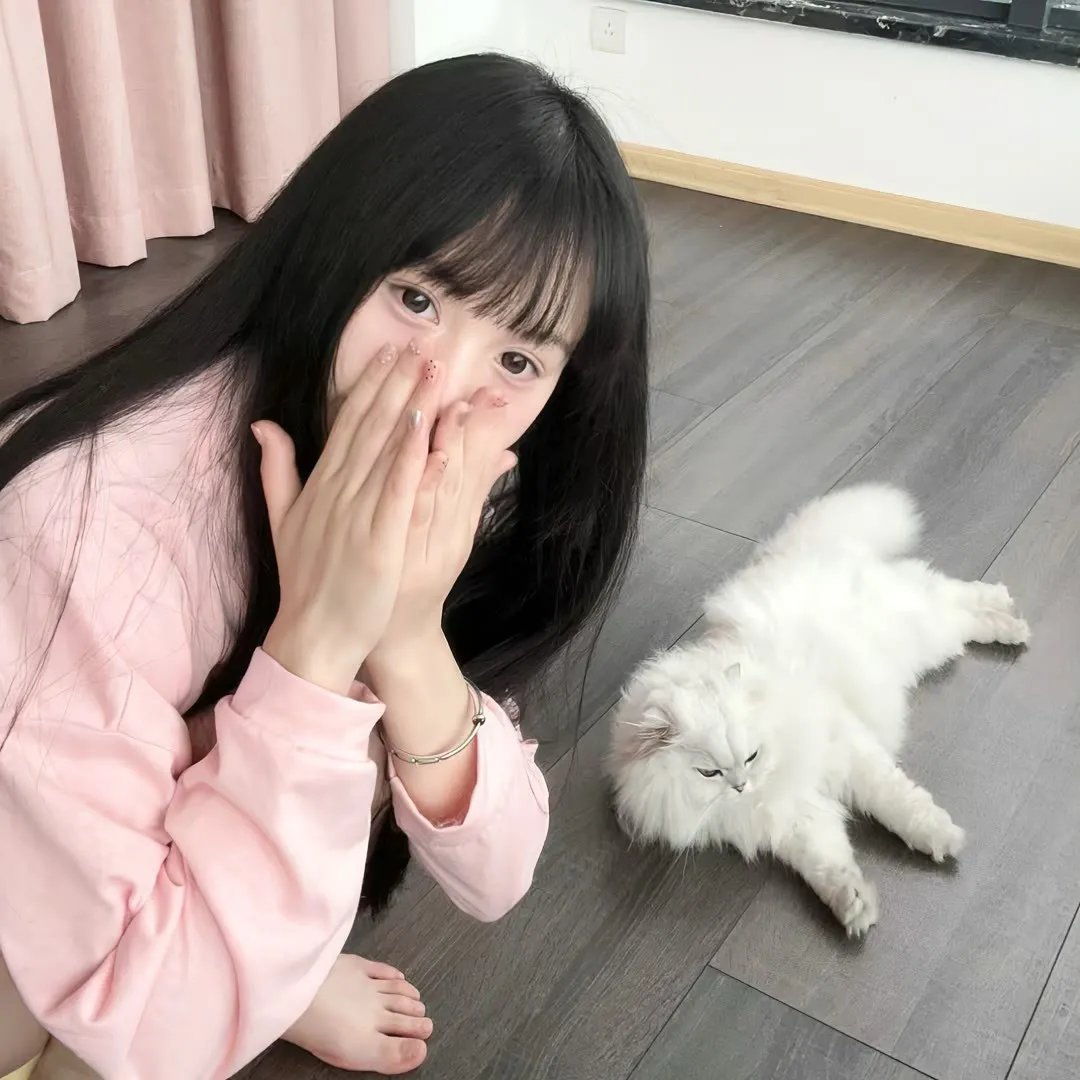 完美陌生人